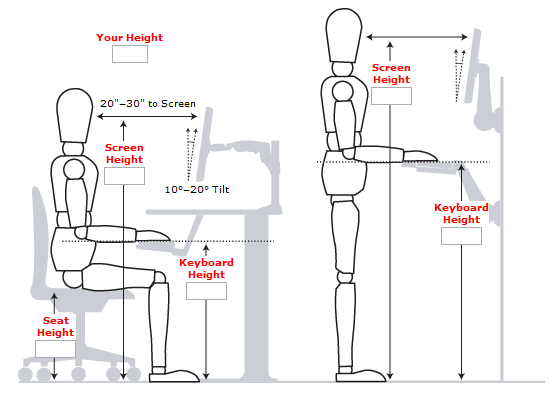 Stand-up Desk Alignment Sizing