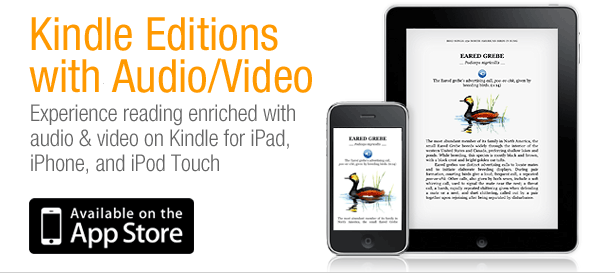 how to use a kindle for the first time how to use a kindle for the first time