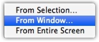 Mac Preview Screen Shot Window
