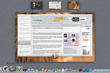 OS X Lion Mission Control Screenshot