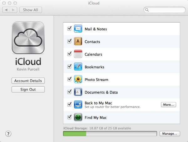 Icloud docsdata