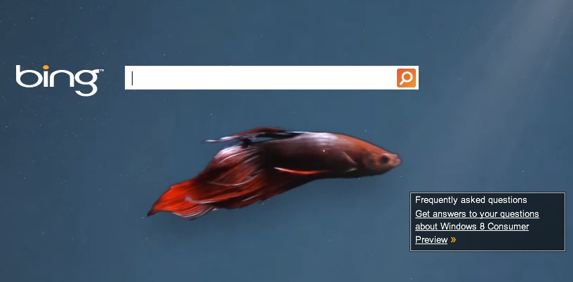 Consumer Preview Windows 8 Consumer Preview Coming This Month