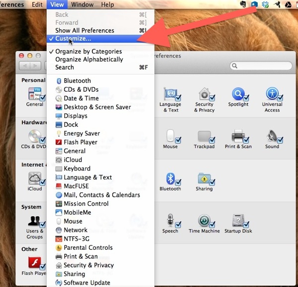Cusomize Your System Preferences