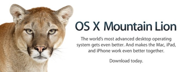 Mountain lion update