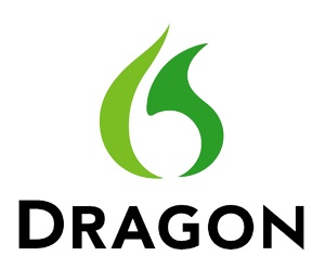 dragon naturallyspeaking 12 home windows