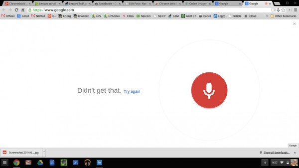 ok google voice search page
