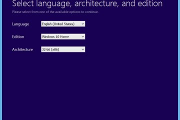 Windows 10 Setup Tool language