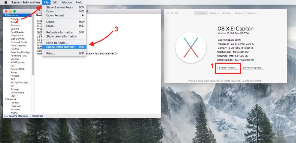 speak serial number in os x el capitan